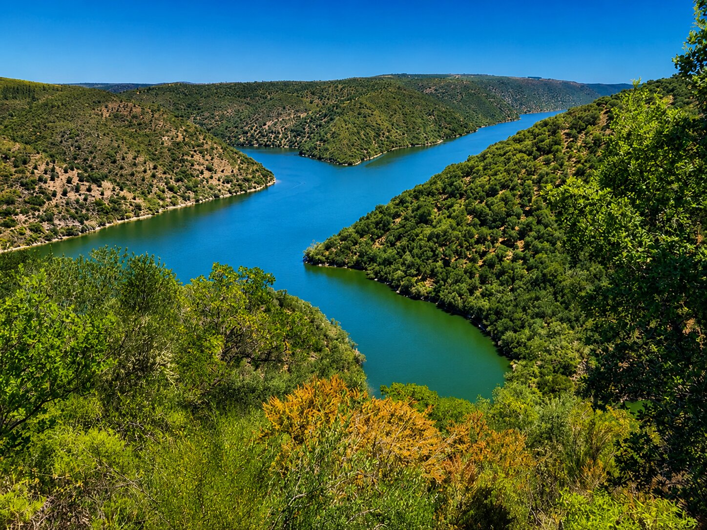 Parque Natural Tajo Internacional